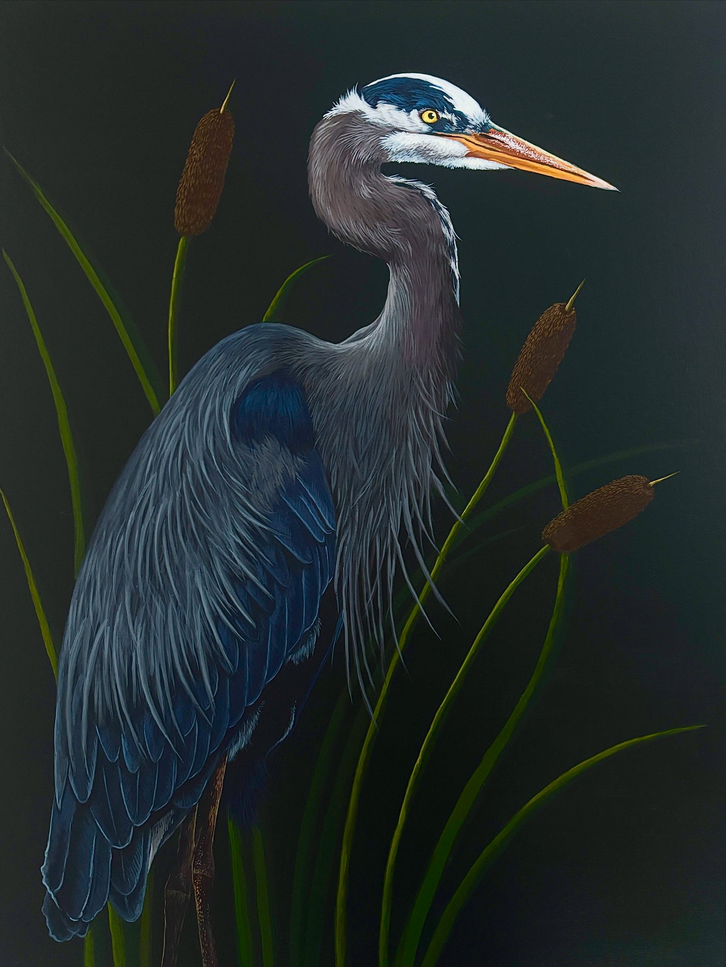 Amongst the Reeds 2