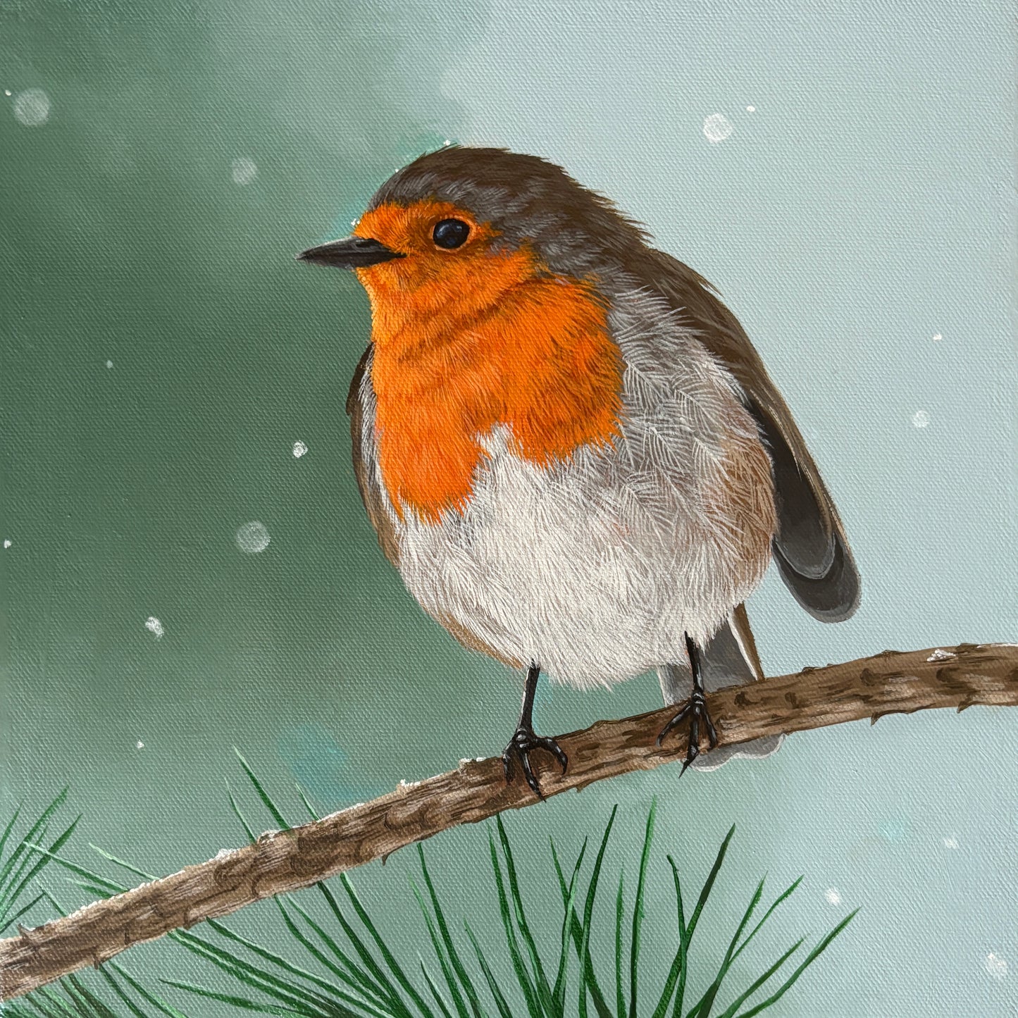 Winter visitor
