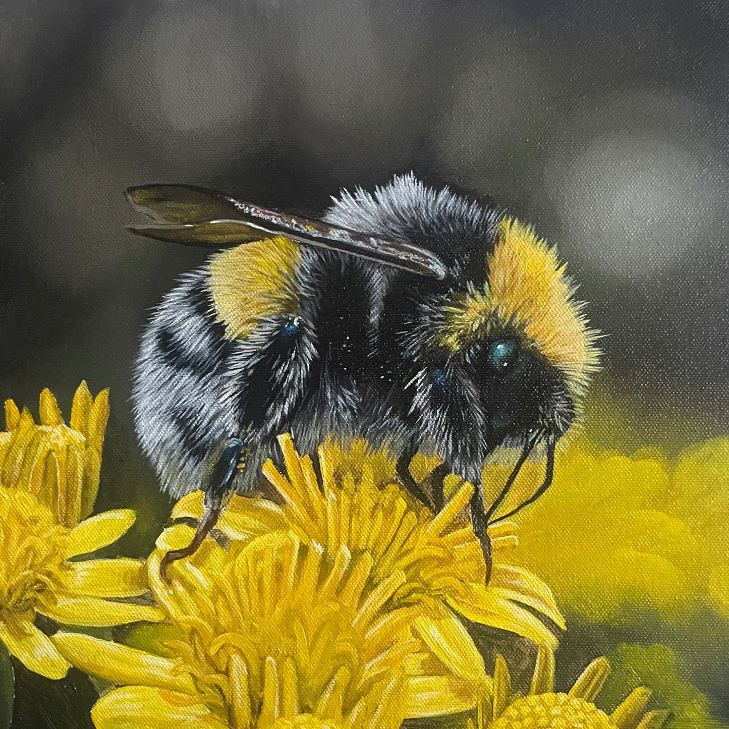 Yellow Fellow