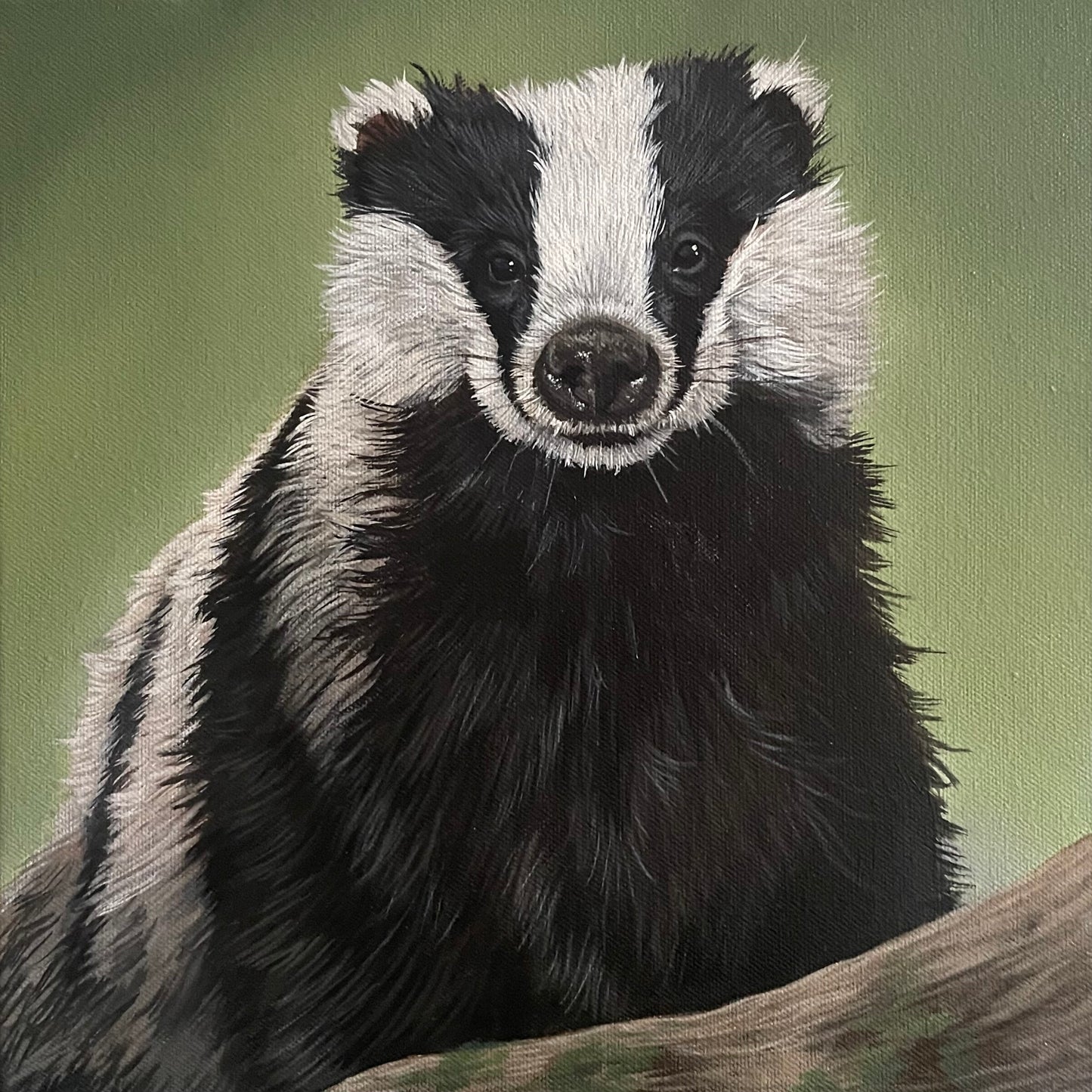 The Smiling Badger
