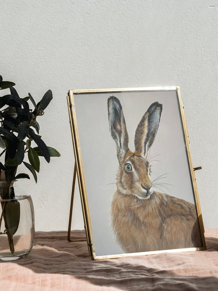 Hare