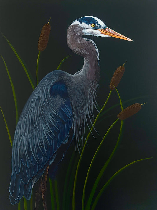 Amongst the Reeds 2