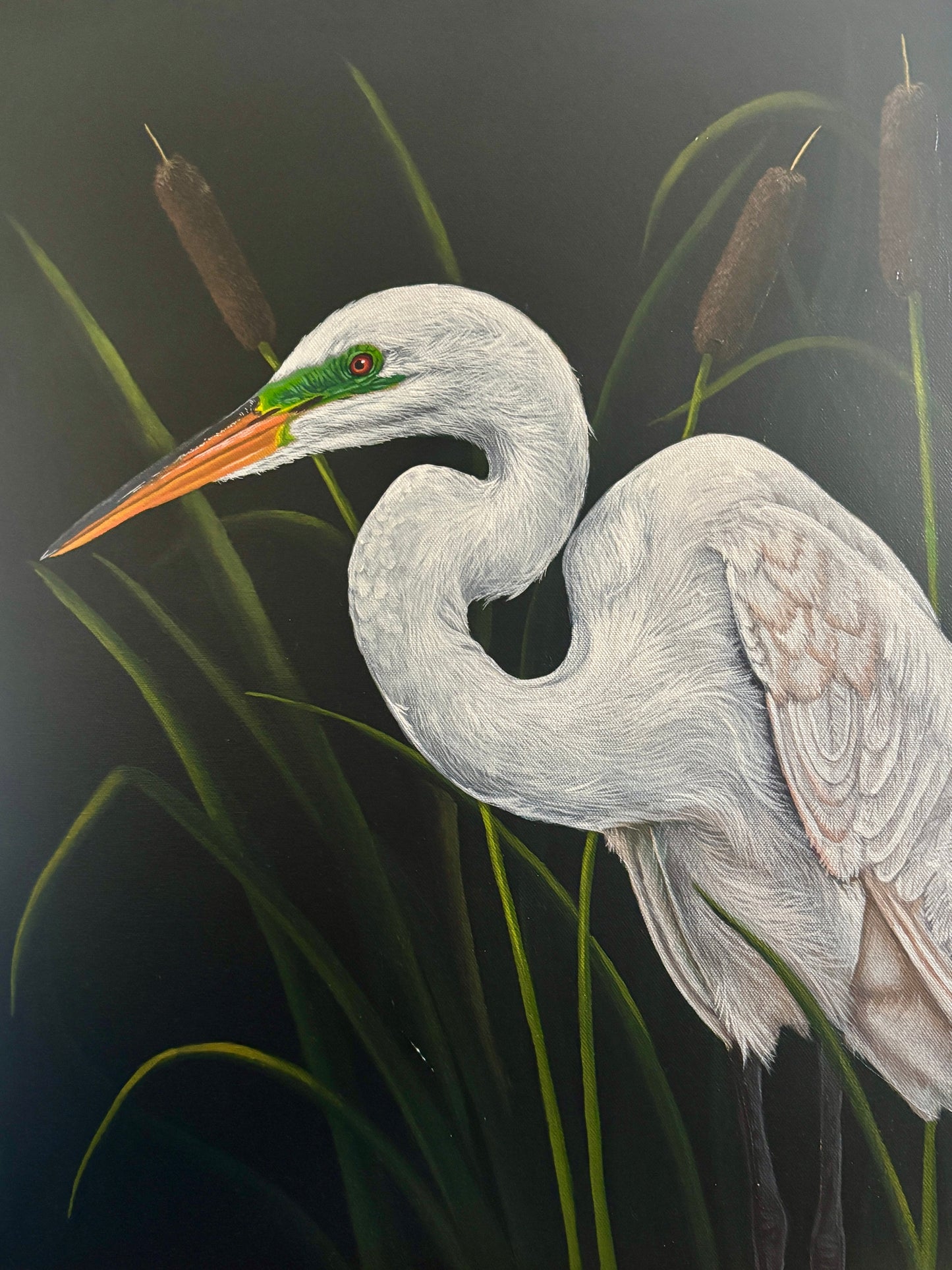 Amongst the Reeds