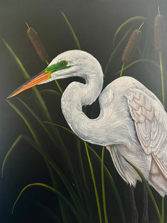 Amongst the Reeds