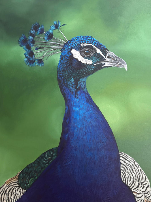 Royal Blue