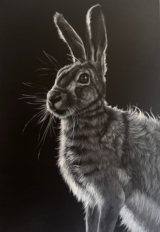 Shadow hare
