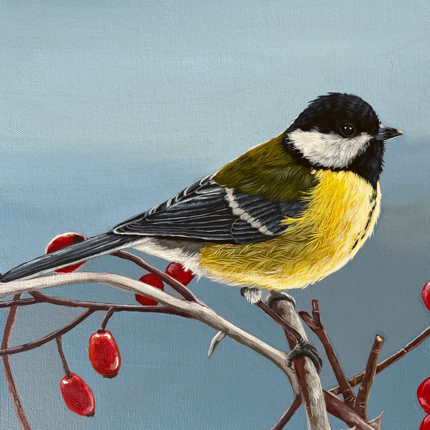 Great tit
