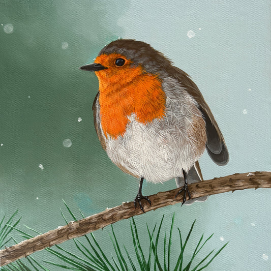 Winter visitor