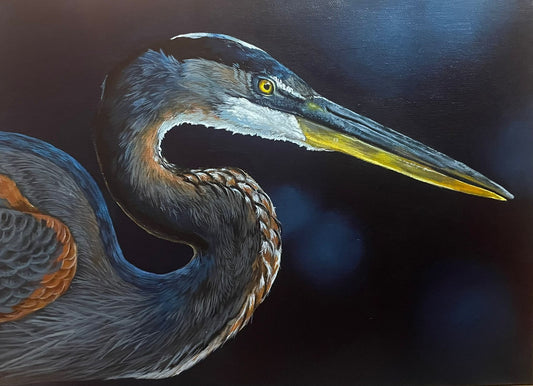 Blue Heron