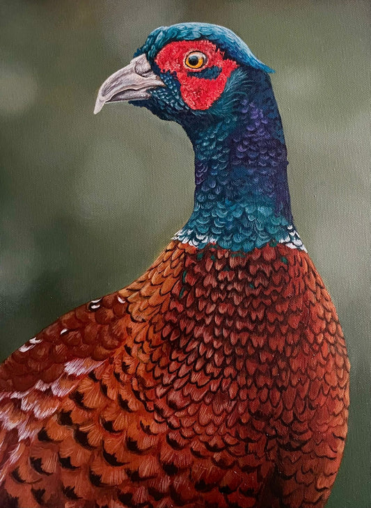 Portrait of a Pheasant