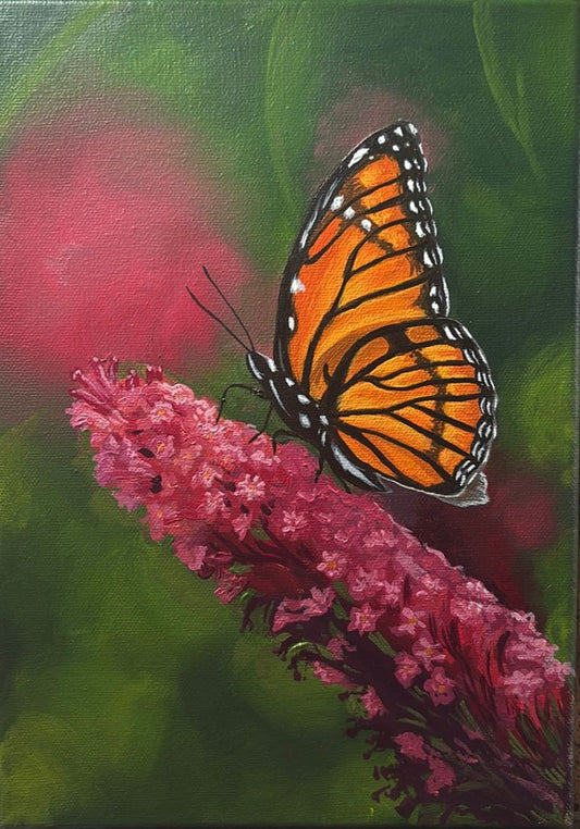 Monarch Butterfly