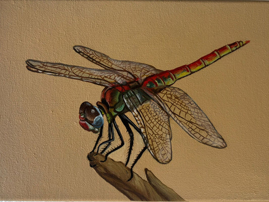 Dragonfly