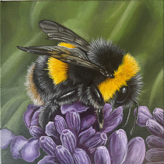 Lavender Bee