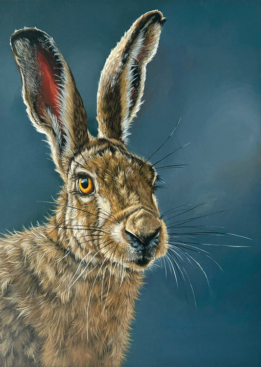 Moonlit Hare