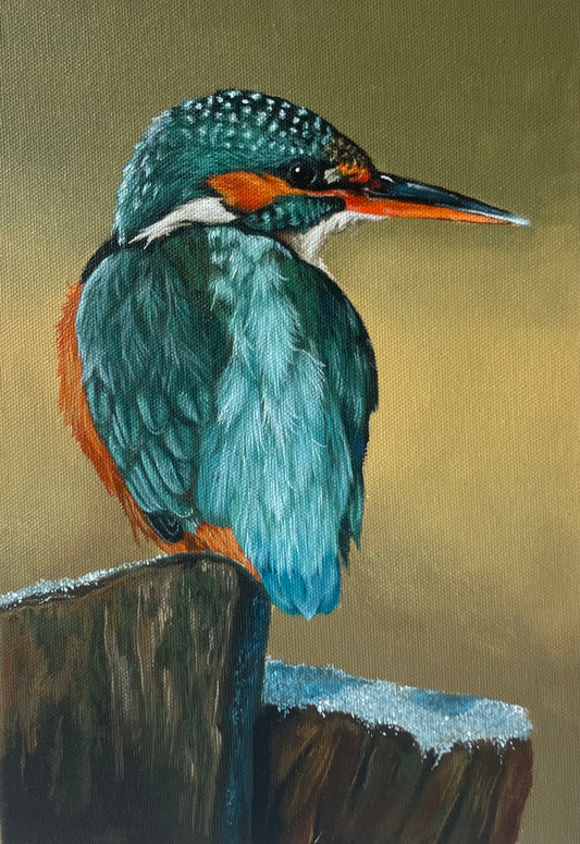 Kingfisher