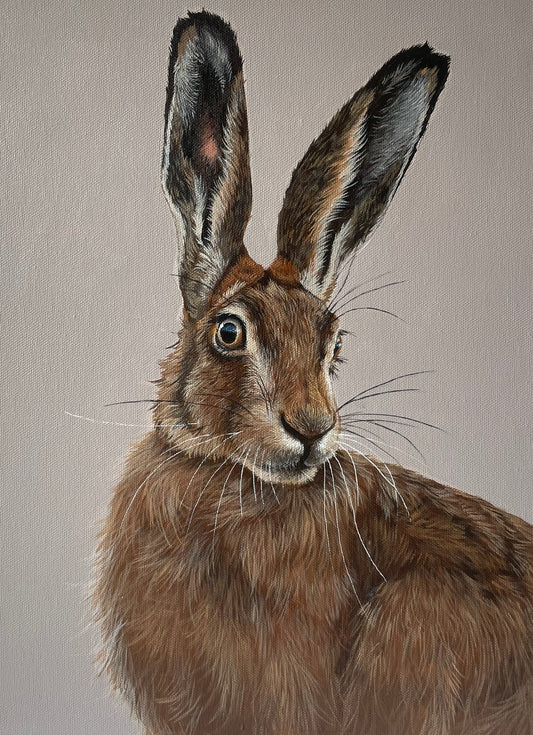 Hare