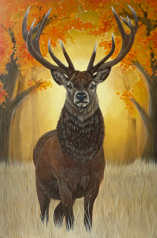 Stag Golden Hour
