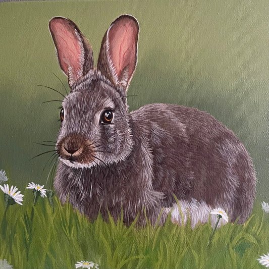 Bunny Rabbit