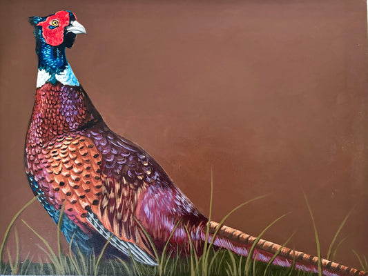 Pheasant