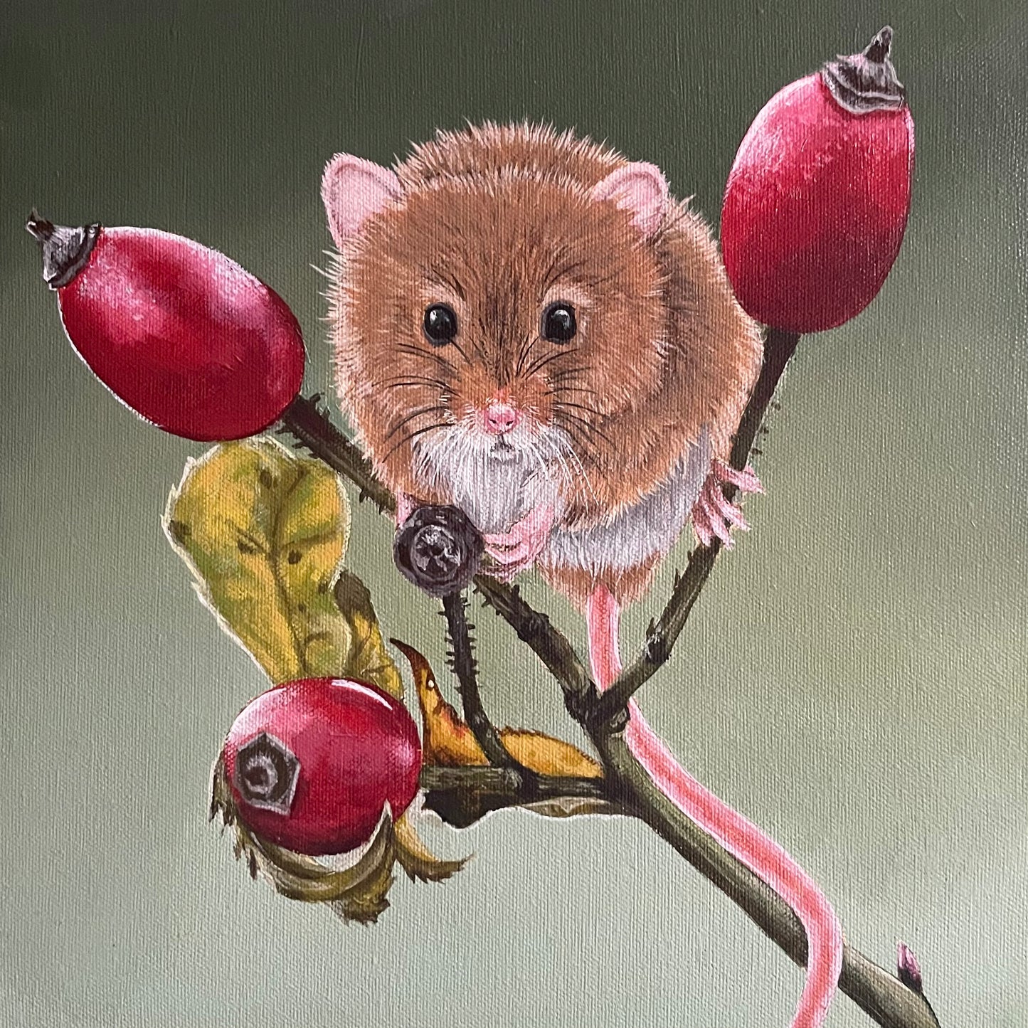 Rosehip Mouse