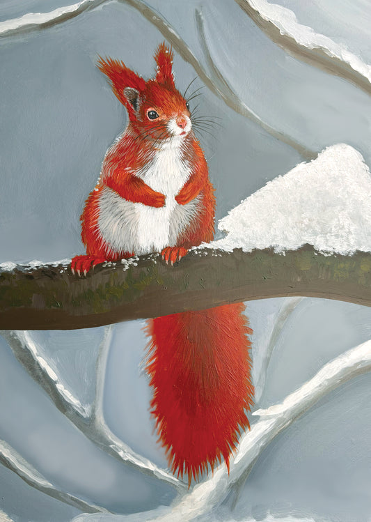 Snowy Squirrel