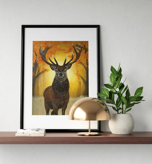 Stag Golden Hour